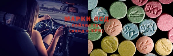 spice Алзамай