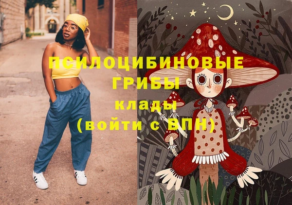 герыч Мегион