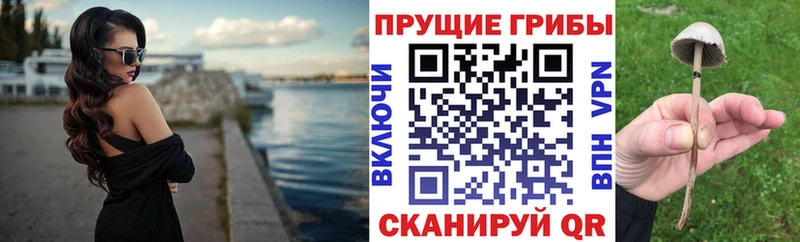 Псилоцибиновые грибы GOLDEN TEACHER  Чёрмоз 